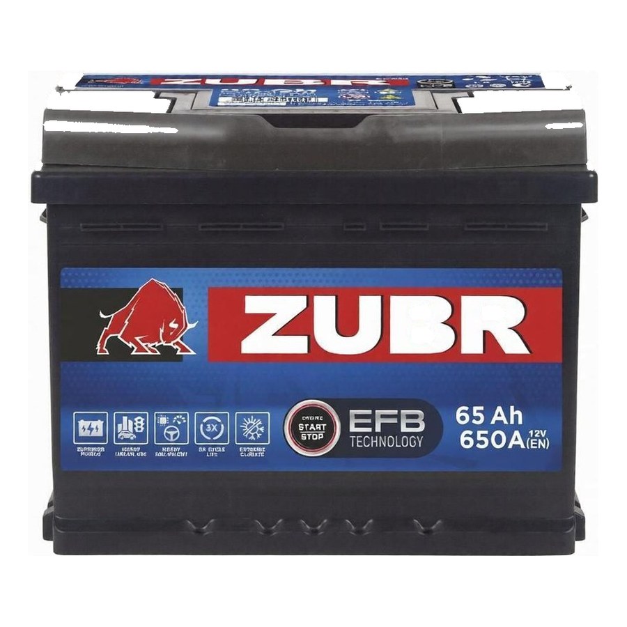 Zubr EFB D23L 65 Ач