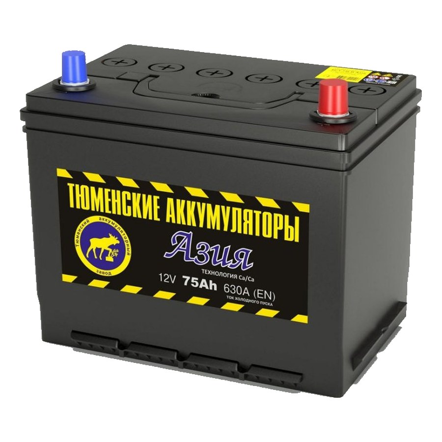 Тюмень Asia 75 Ач